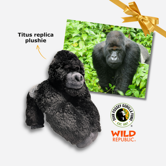 Mountain Gorilla Titus Jr. (TJ) Stuffed Animal | Wild Republic x Dian Fossey Gorilla Fund