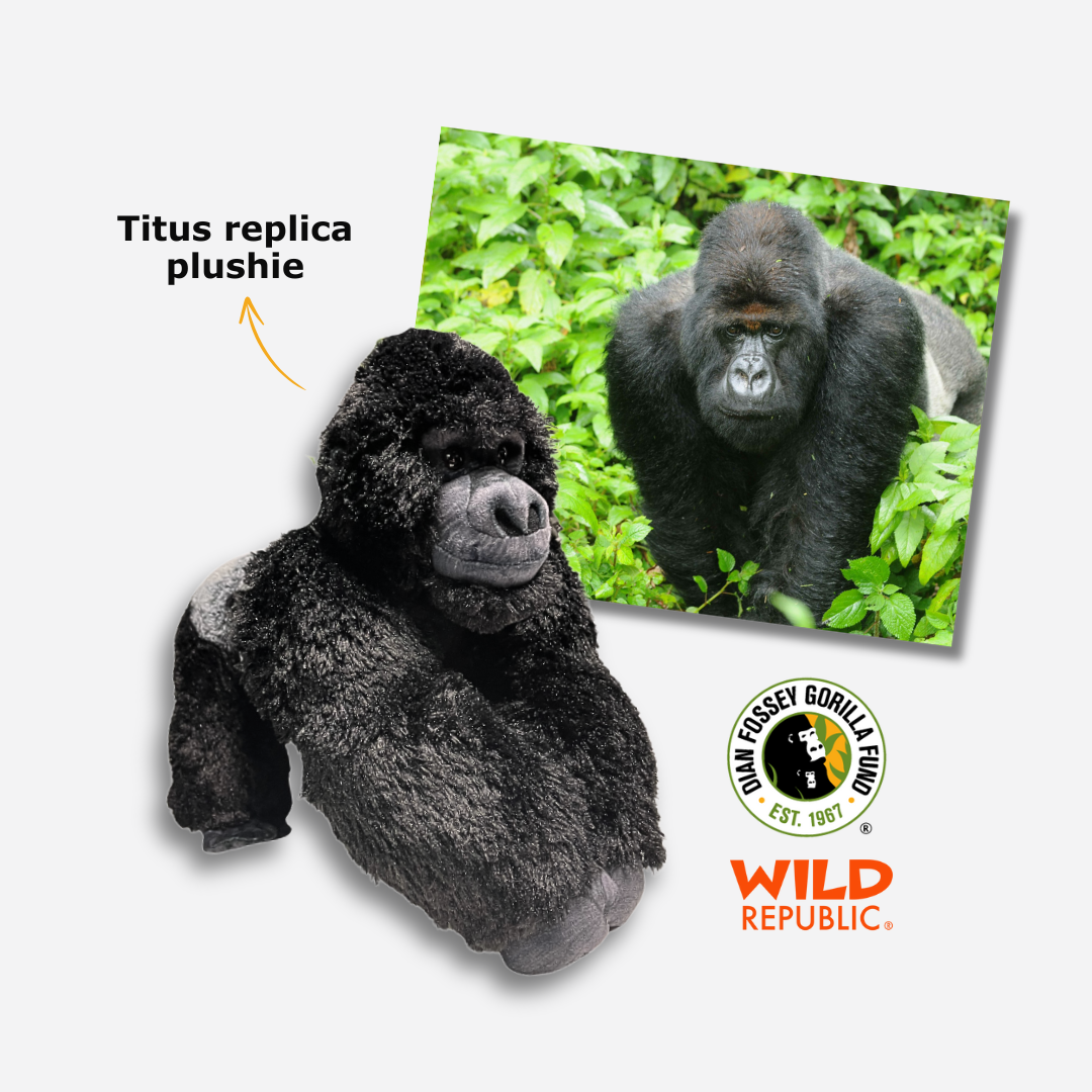 Mountain Gorilla Titus Jr. (TJ) Stuffed Animal | Wild Republic x Dian Fossey Gorilla Fund