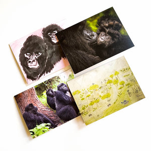 Thank You Cards | Dian Fossey Gorilla Fund