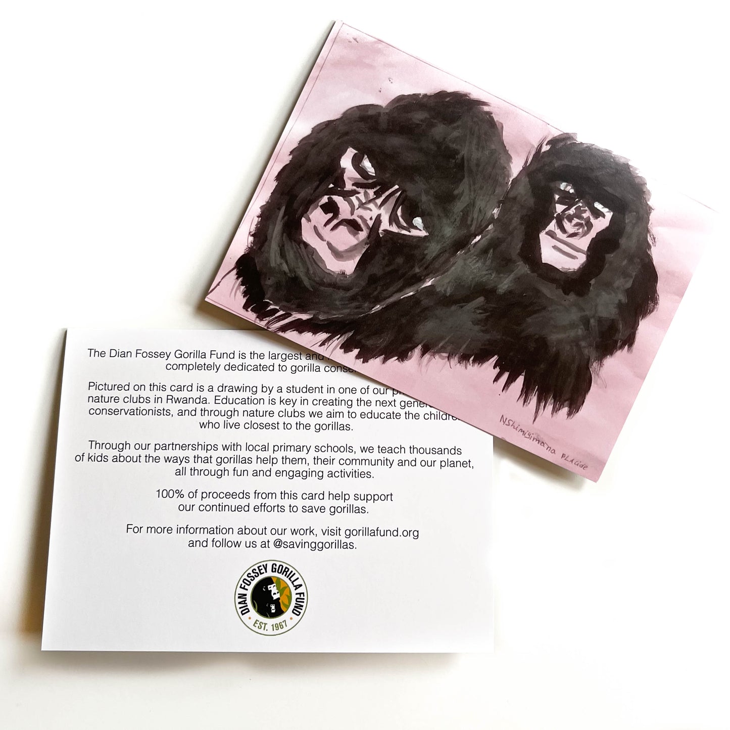 Thank You Cards | Dian Fossey Gorilla Fund